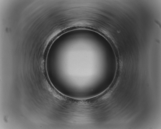 X0000099541029200805161423