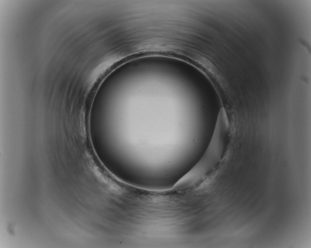 X0000099541030200805161423