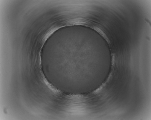 X0000099541031200805161423