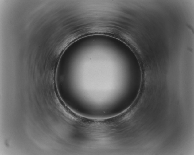 X0000099541033200805161423