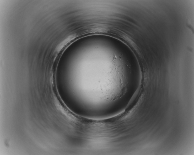 X0000099541034200805161423