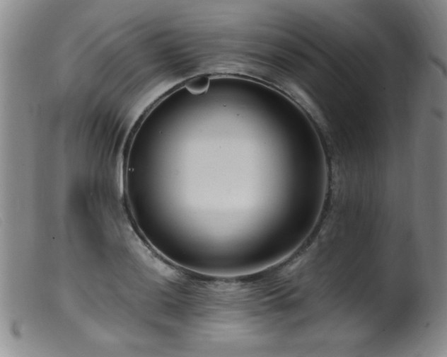 X0000099541036200805161423