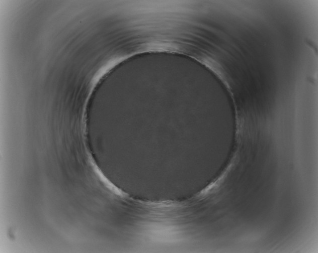 X0000099541037200805161423