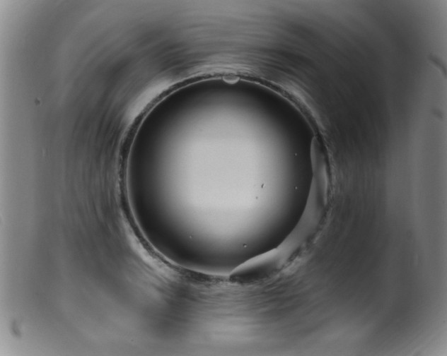 X0000099541038200805161423