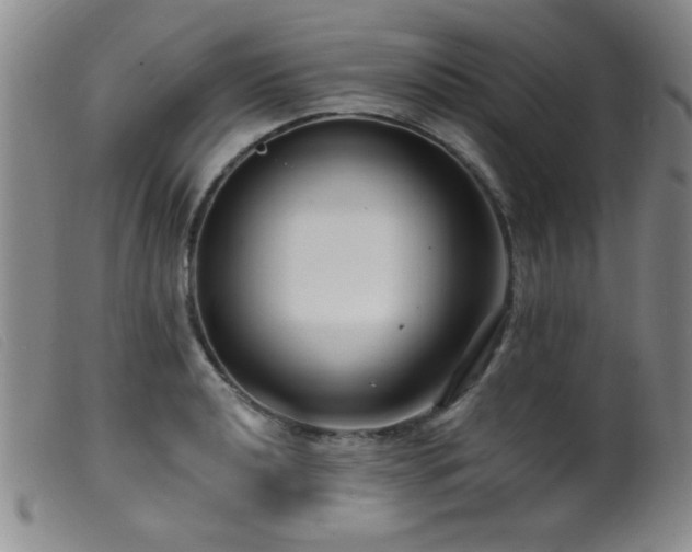 X0000099541040200805161423