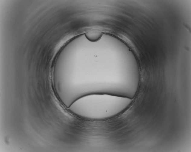 X0000099541043200805161423