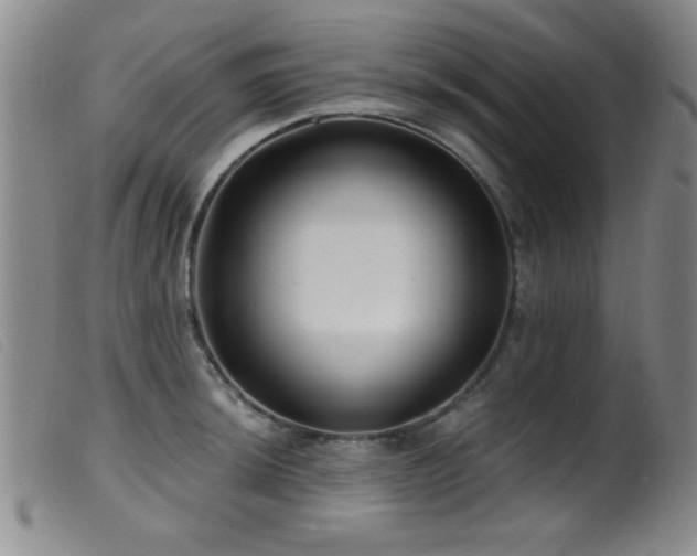 X0000099541044200805161423