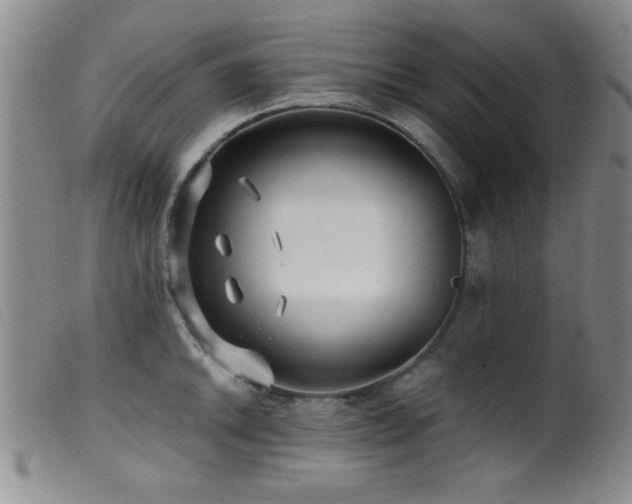 X0000099541046200805161423
