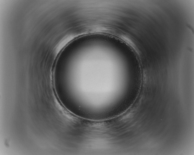 X0000099541047200805161423