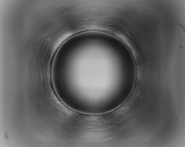 X0000099541048200805161423