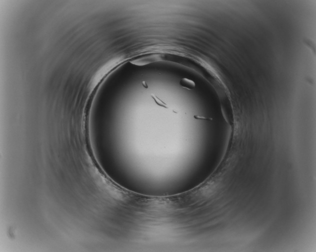 X0000099541050200805161423