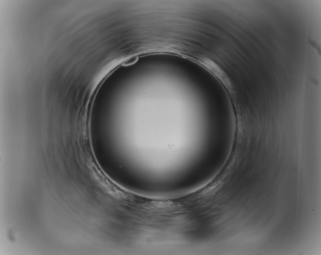 X0000099541052200805161423