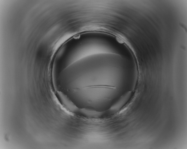 X0000099541053200805161423