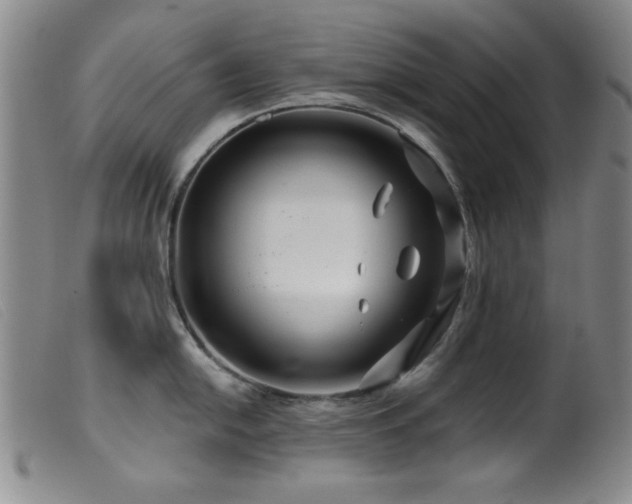 X0000099541054200805161423