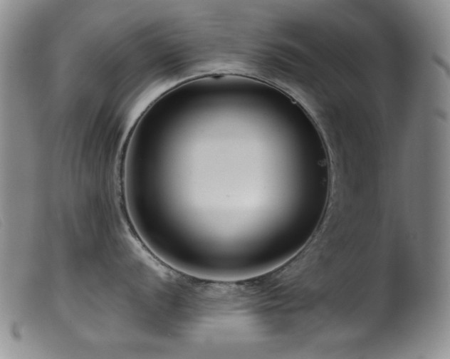 X0000099541056200805161423