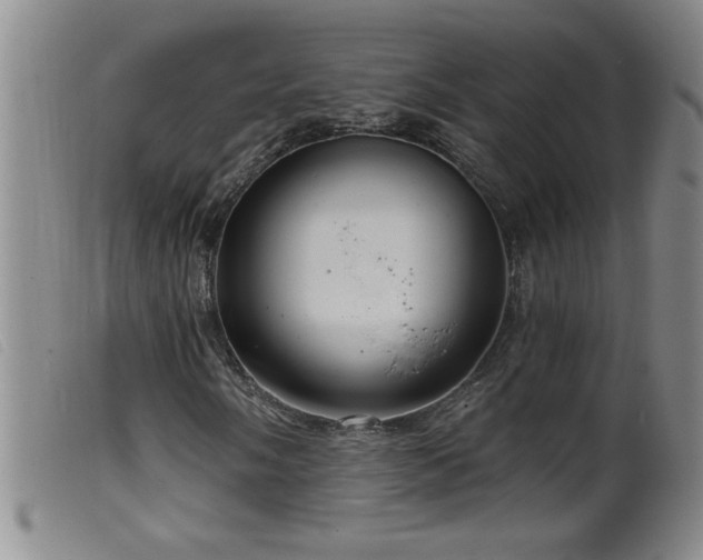 X0000099541058200805161422