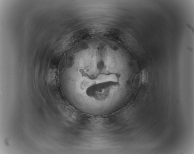 X0000099541059200805161422