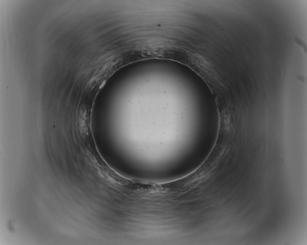 X0000099541060200805161422