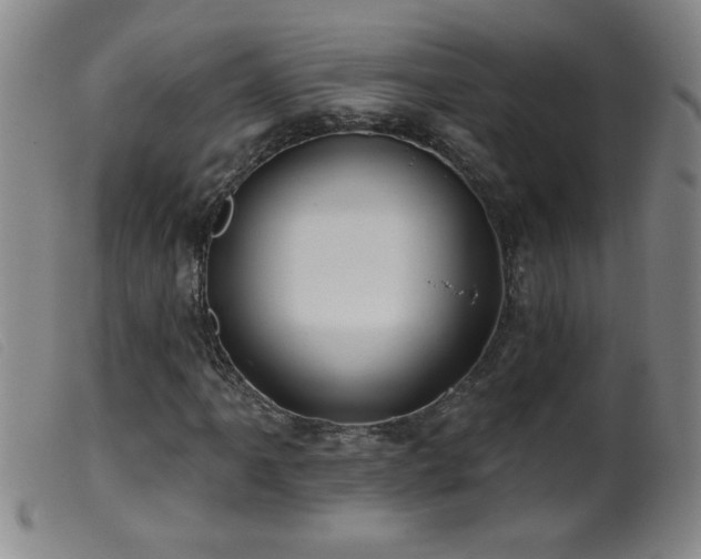 X0000099541061200805161422