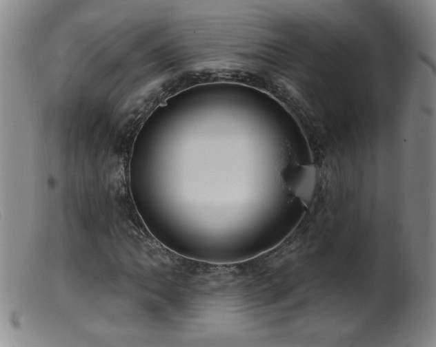 X0000099541062200805161422
