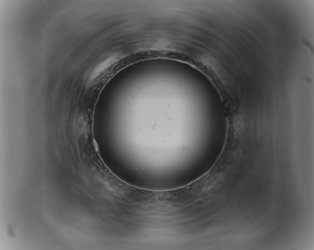 X0000099541064200805161422