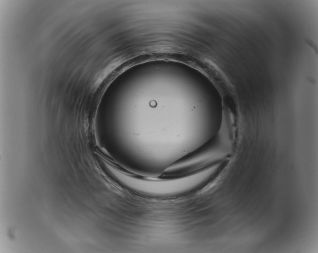 X0000099541065200805161422