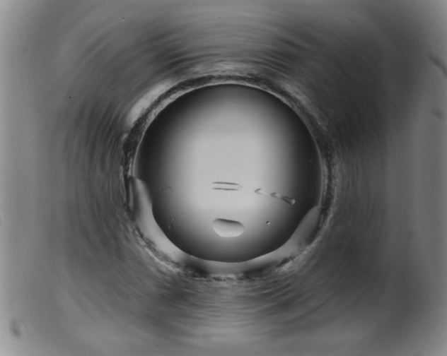 X0000099541066200805161422
