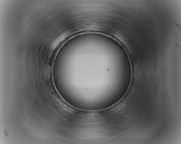 X0000099541067200805161422