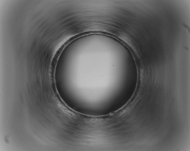 X0000099541068200805161422