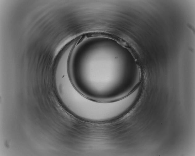 X0000099541069200805161422