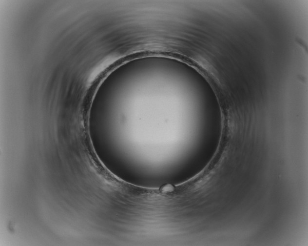 X0000099541070200805161422