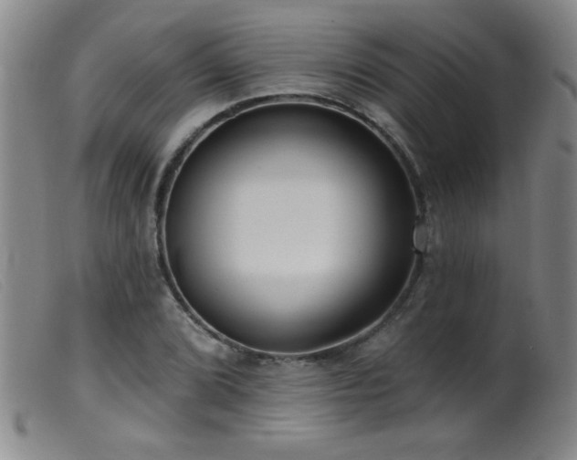 X0000099541072200805161422