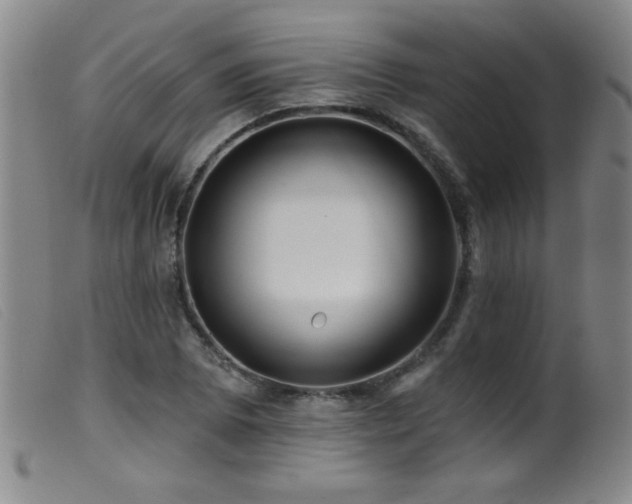 X0000099541073200805161422