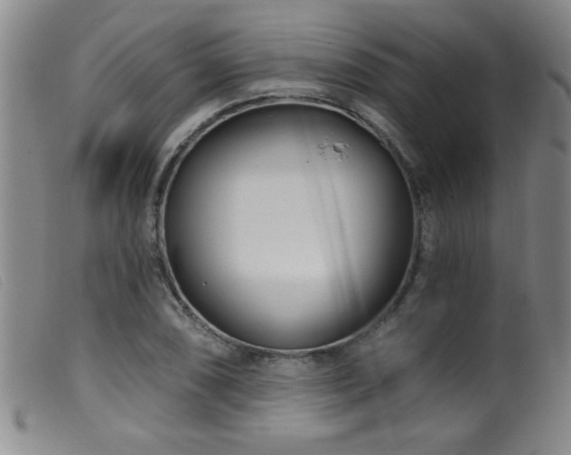 X0000099541074200805161422