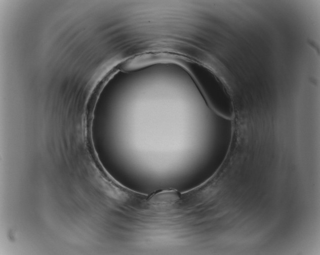 X0000099541076200805161422