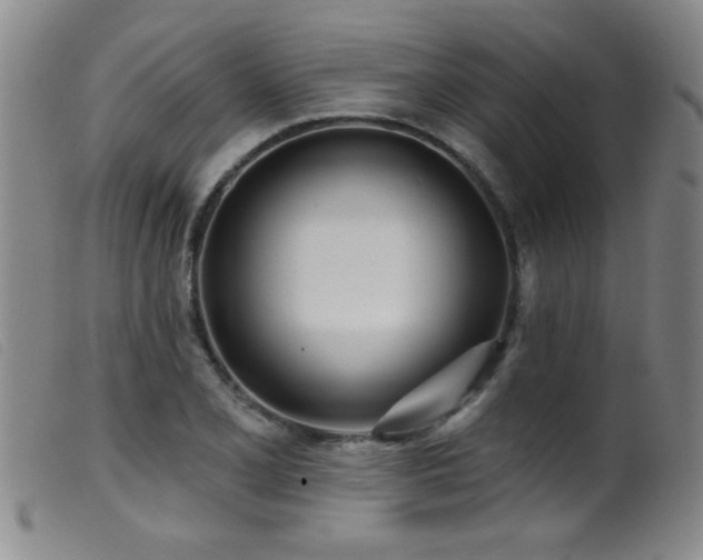 X0000099541077200805161422