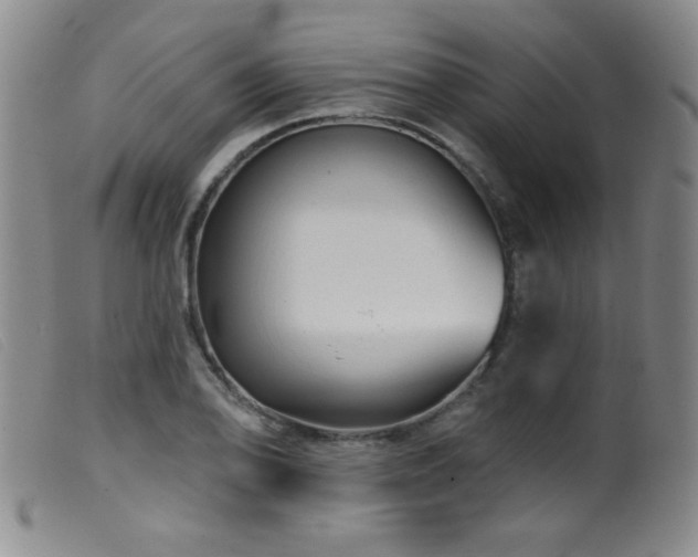 X0000099541078200805161422