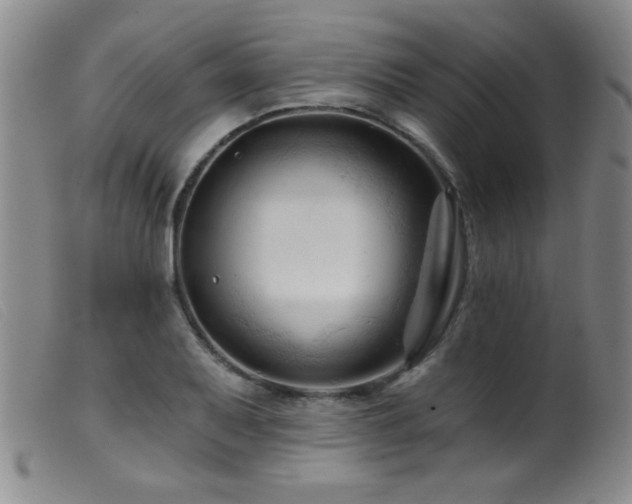 X0000099541079200805161422