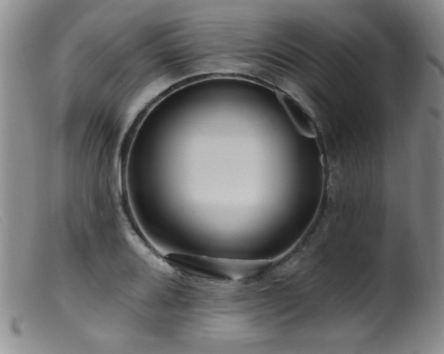 X0000099541080200805161422