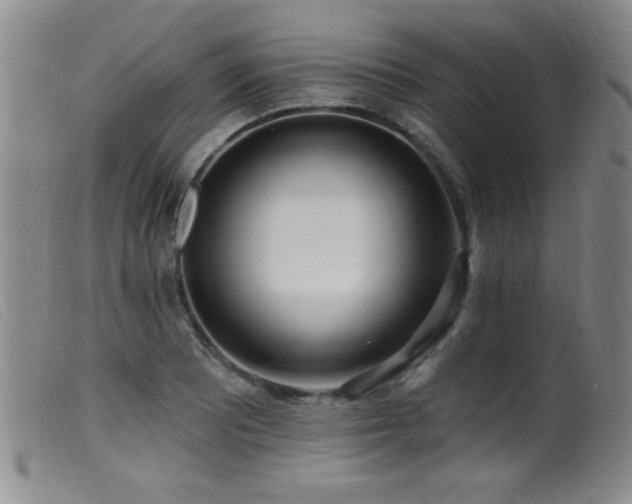 X0000099541081200805161422