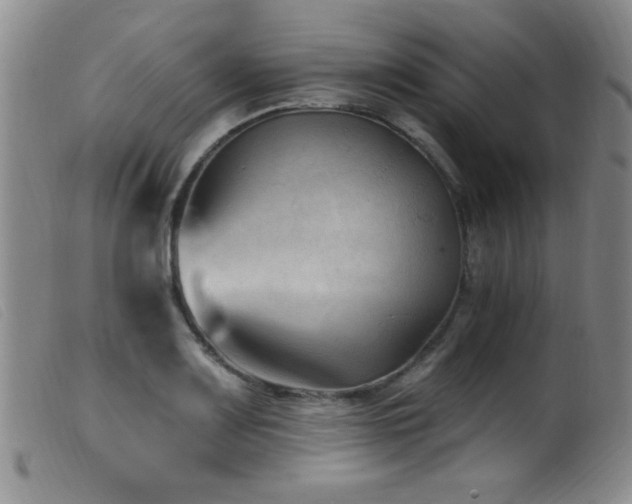 X0000099541083200805161422