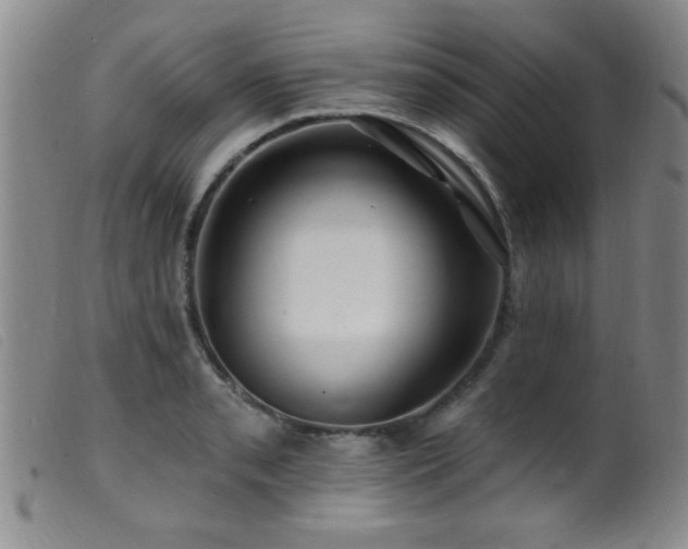 X0000099541085200805161422
