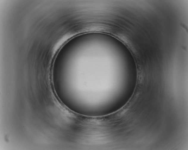 X0000099541086200805161422