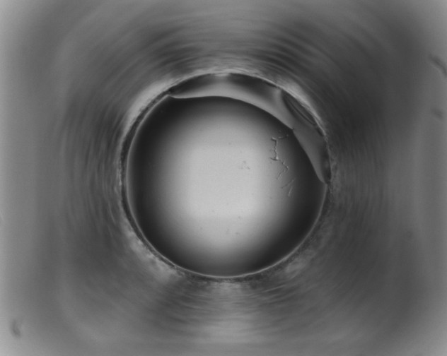 X0000099541088200805161422