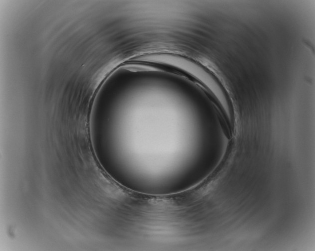 X0000099541089200805161422