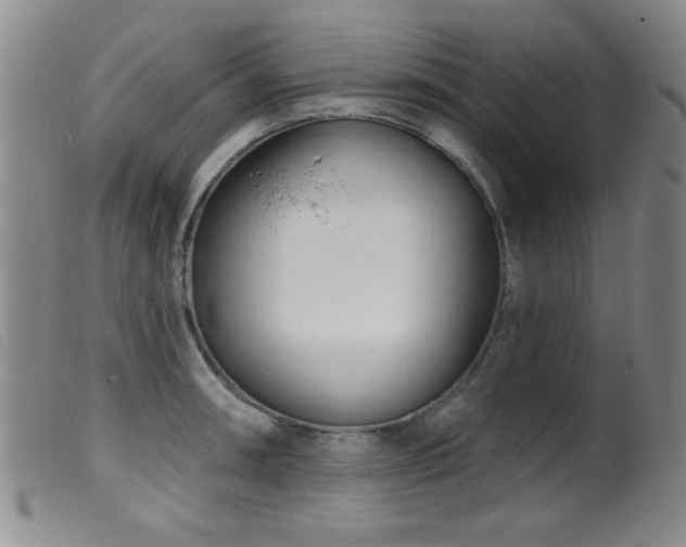 X0000099541090200805161422