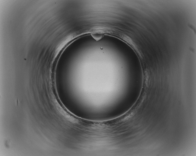 X0000099541091200805161422