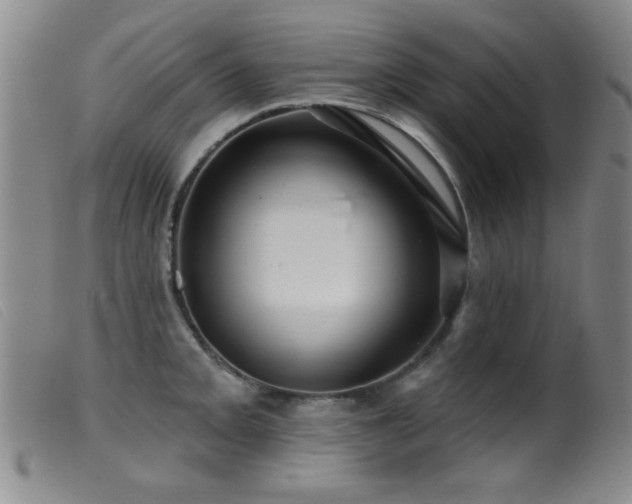 X0000099541093200805161422