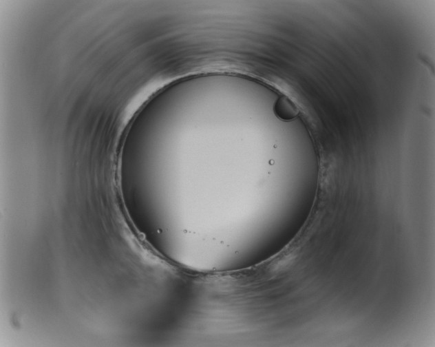 X0000099541094200805161422