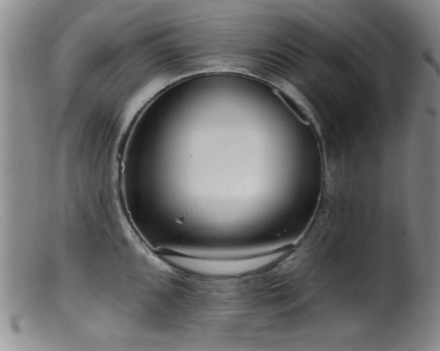 X0000099541096200805161422